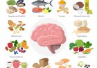 Best Brain Foods