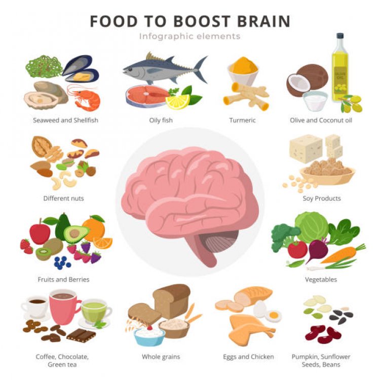 Best Brain Foods